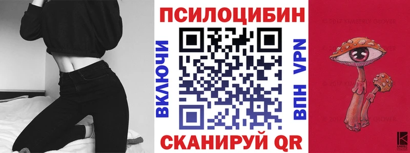 shop состав  Тавда  мега сайт  Галлюциногенные грибы Psilocybe  где купить  